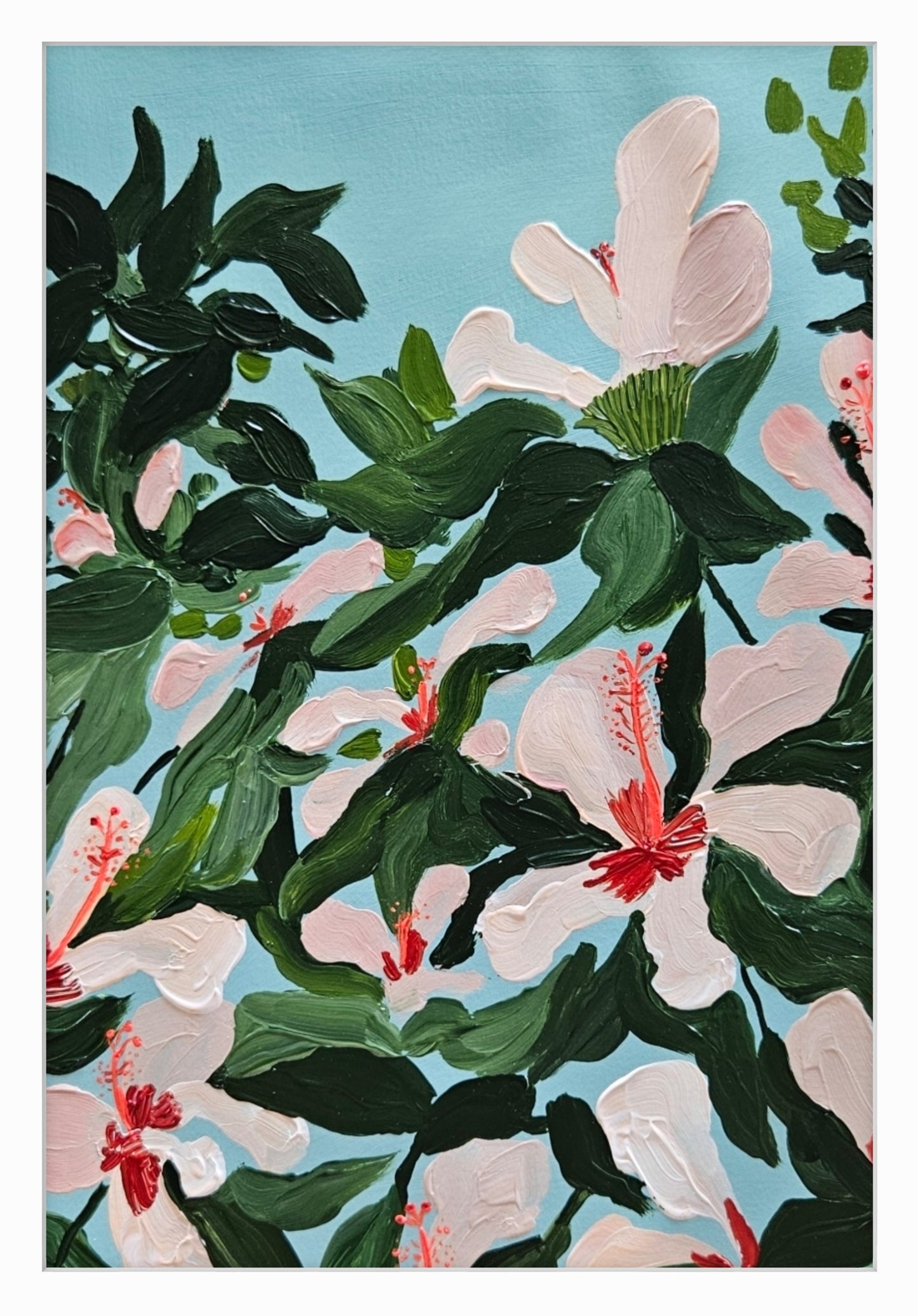 hibiscus I