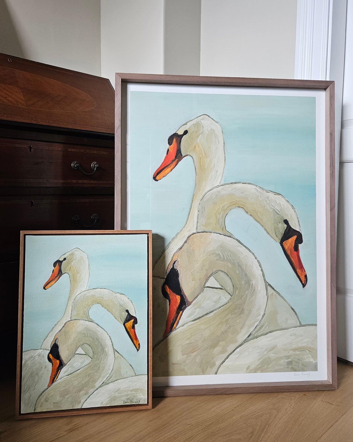 3 swans (A1 in frame)