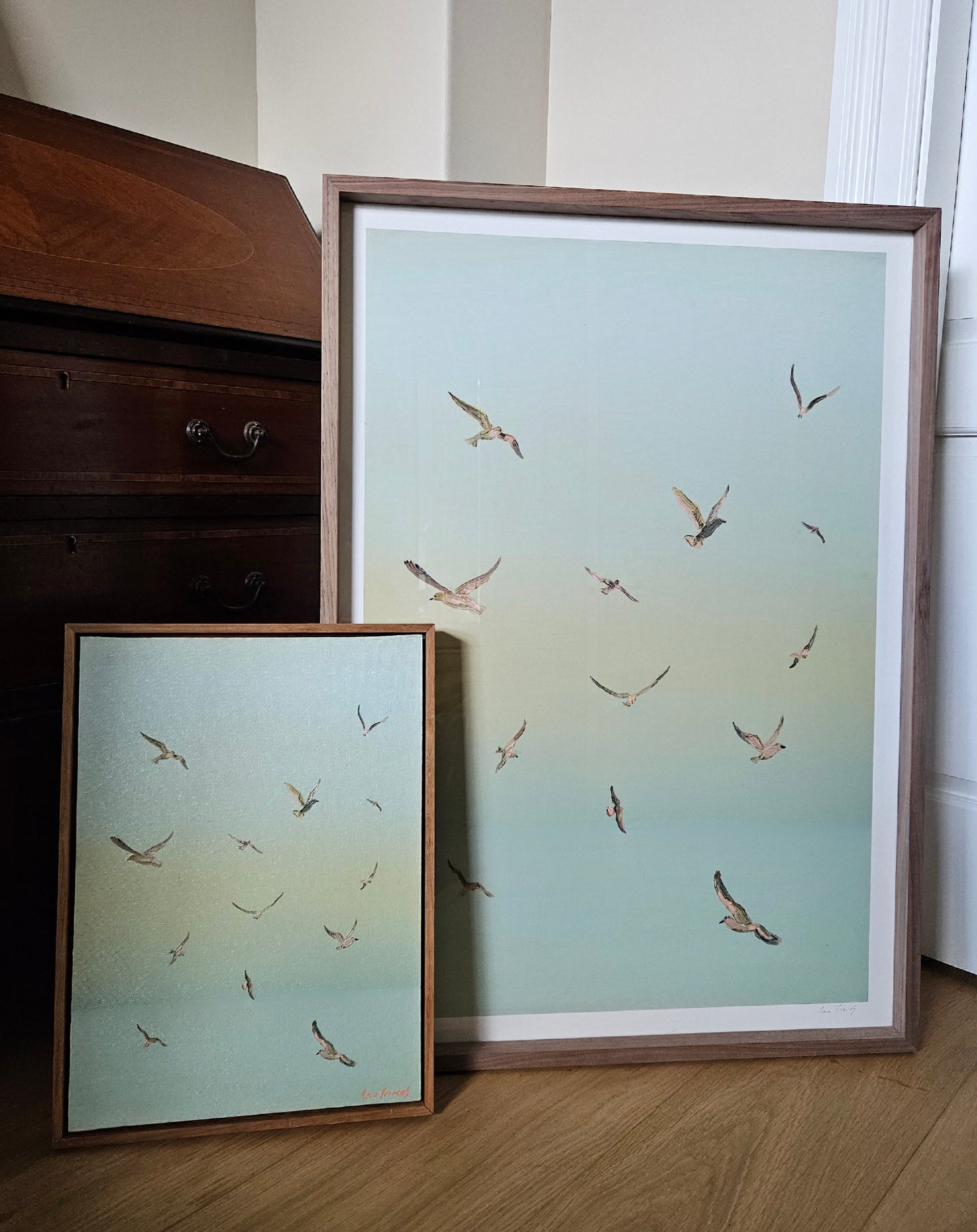 gulls at sea (A1 in frame)