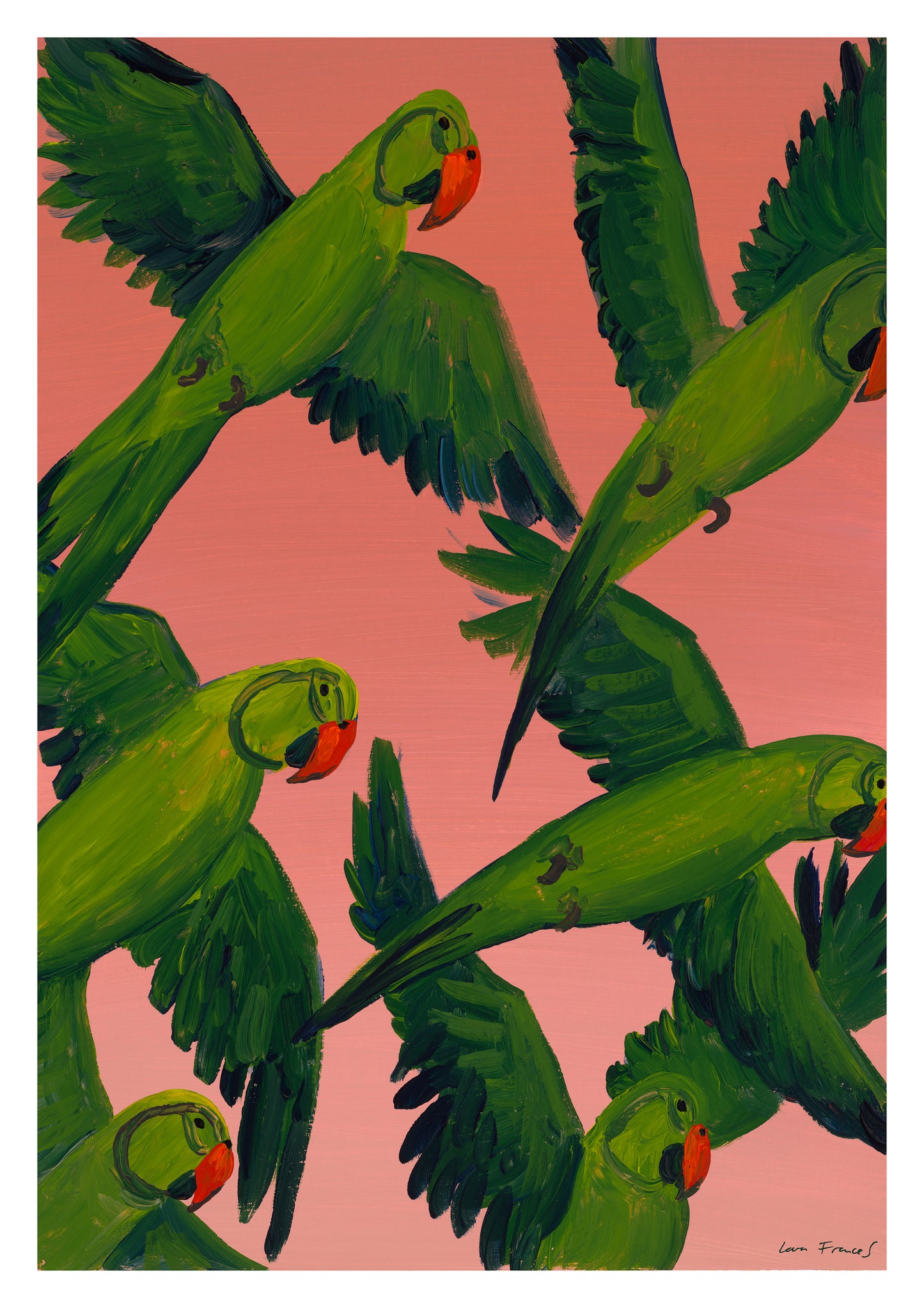 sunset parrots
