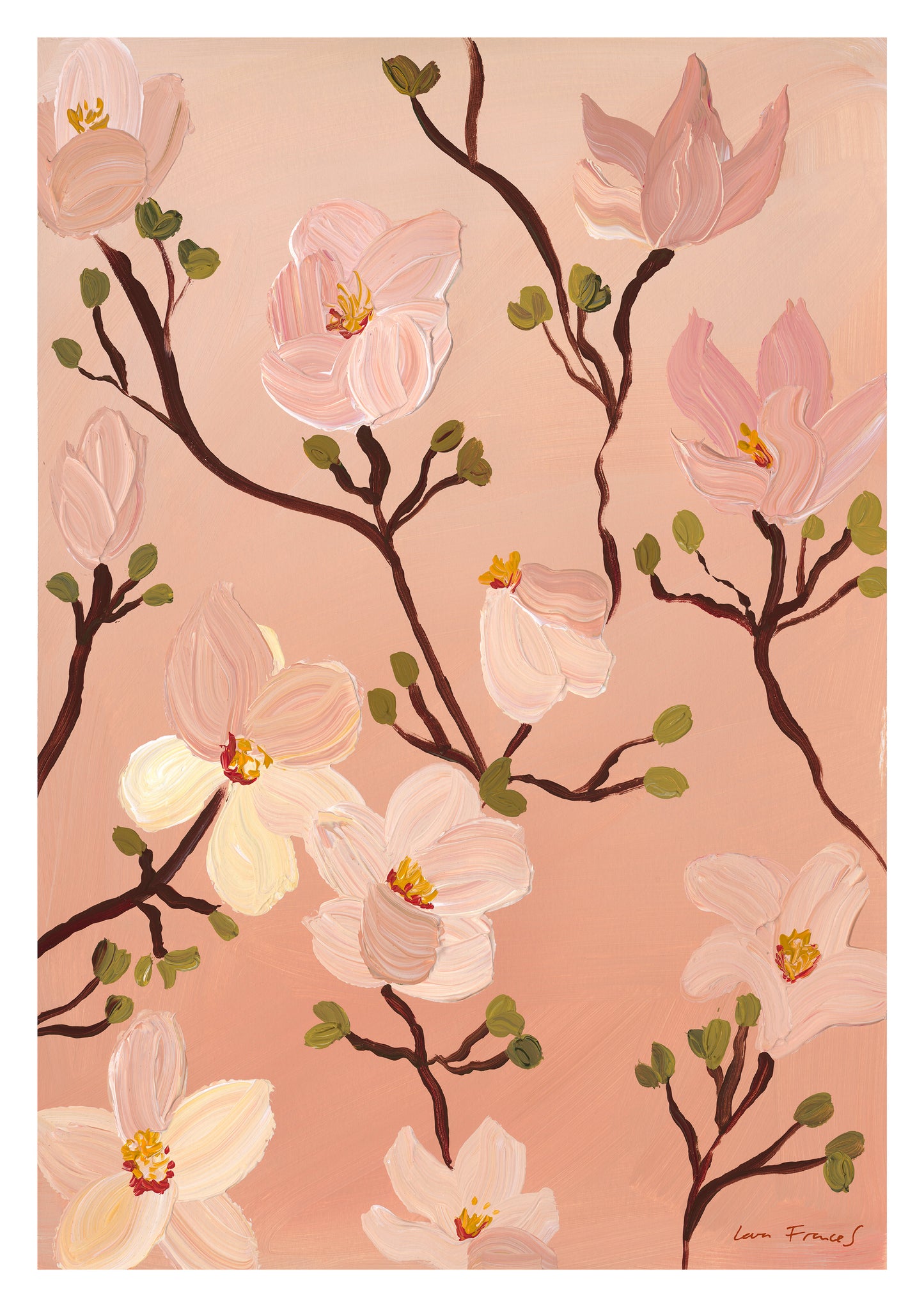 magnolia IV