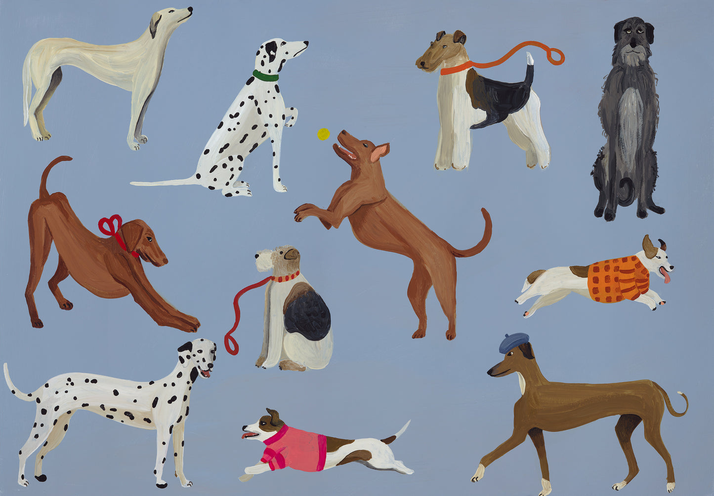 Vizsla & Co
