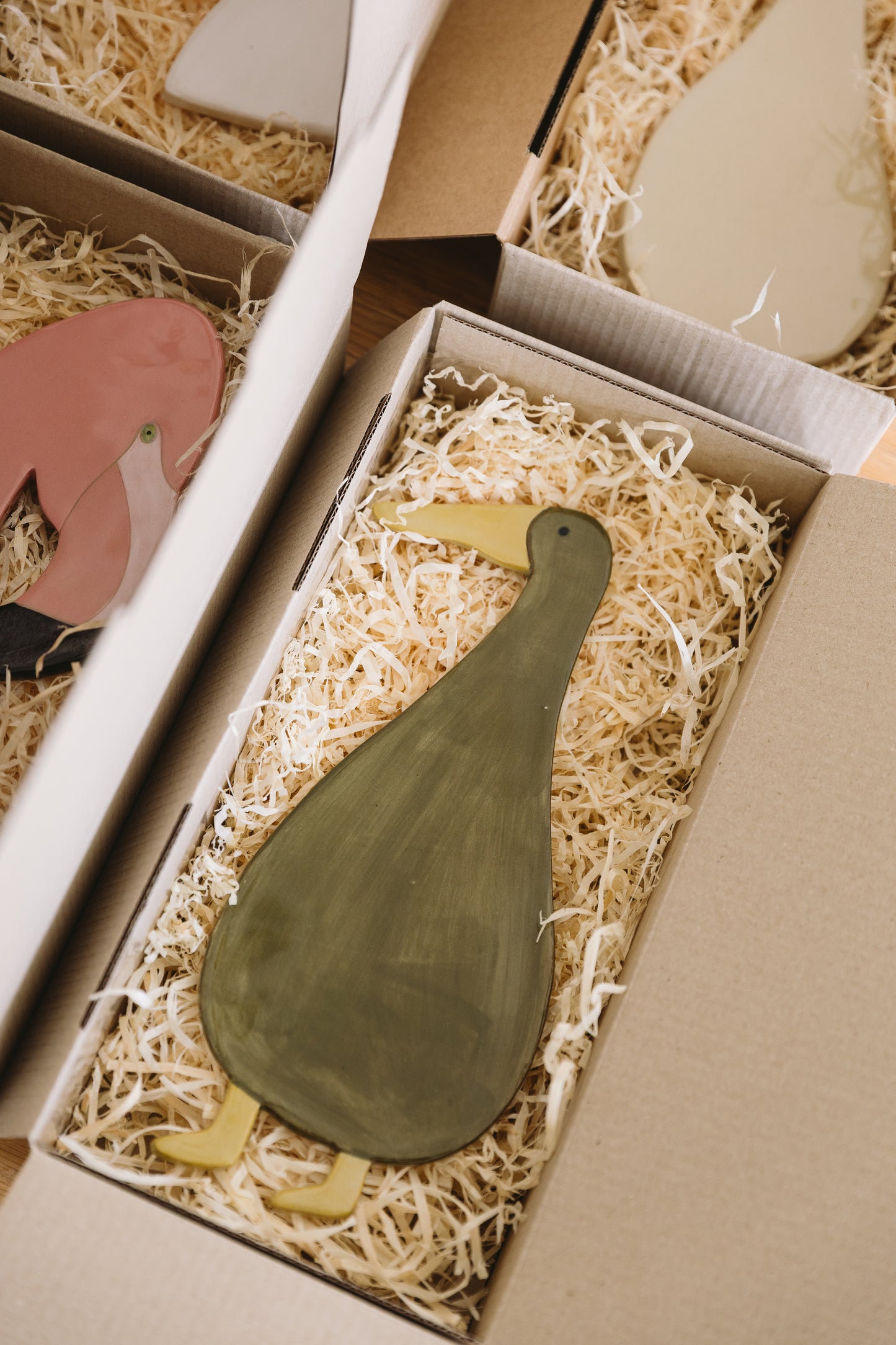 fynbos runner duck