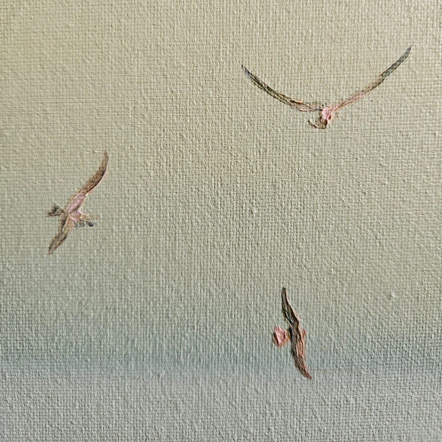 gulls at sea (framed)