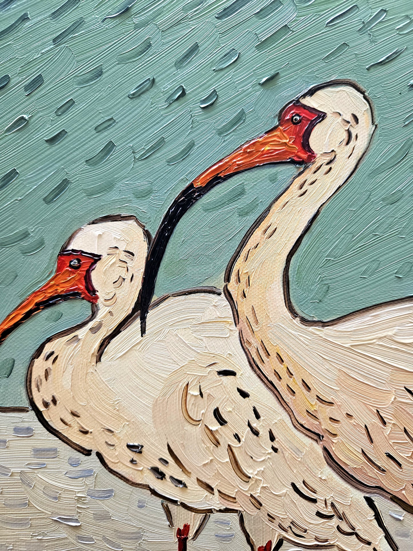 ibis on beach