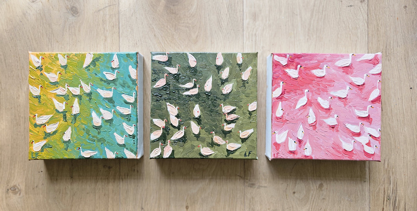 mini swimming ducks in ocean