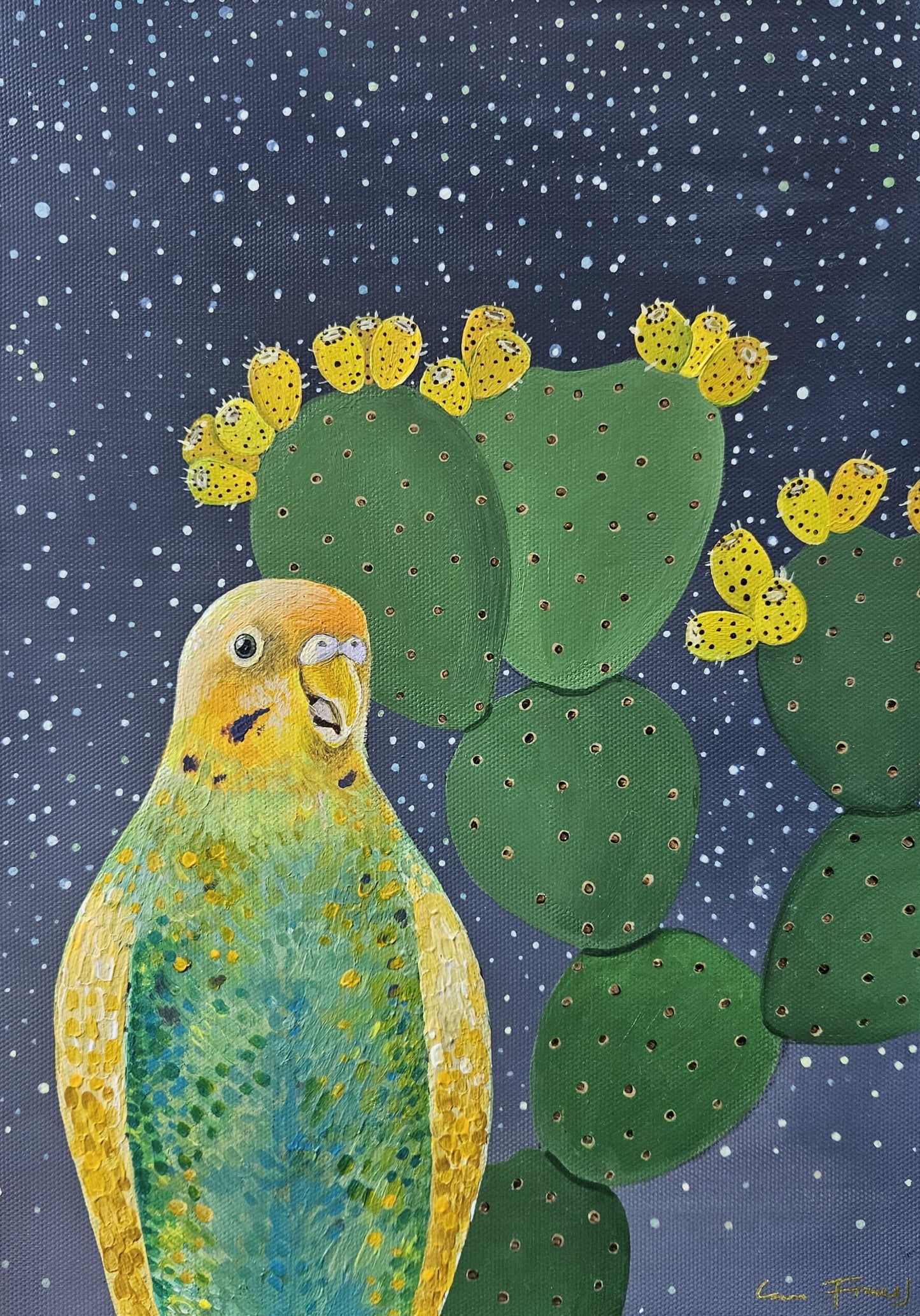 desert parakeet in moonlight