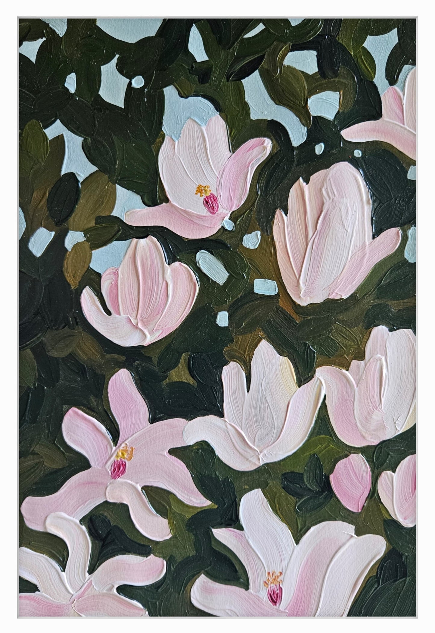 magnolia VIII