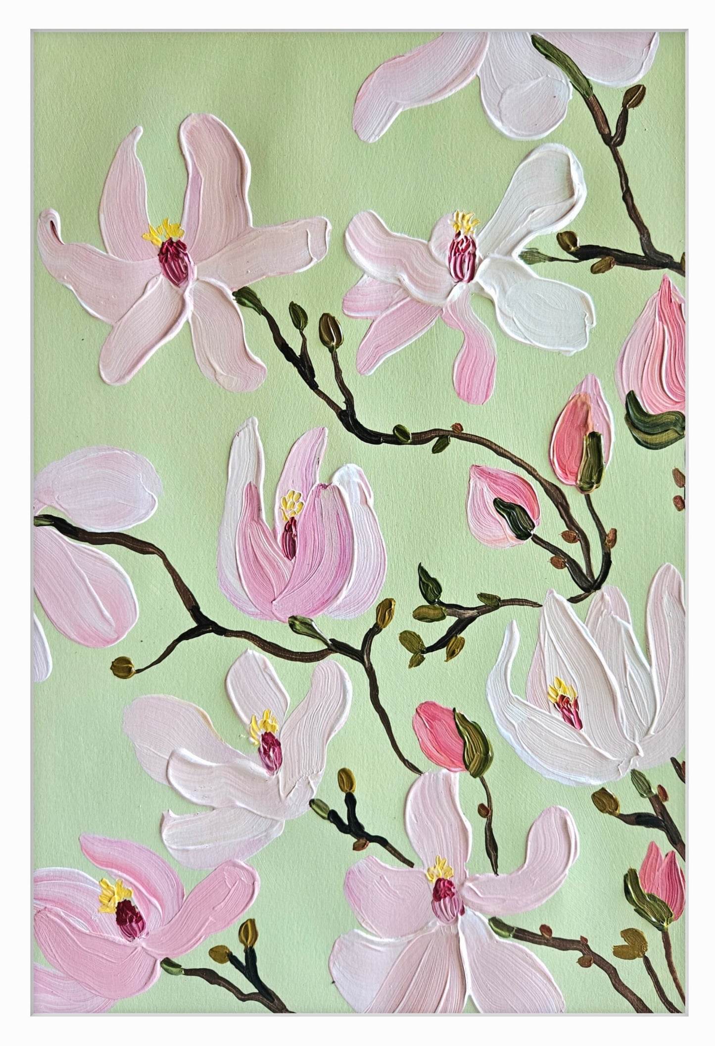 magnolia VII