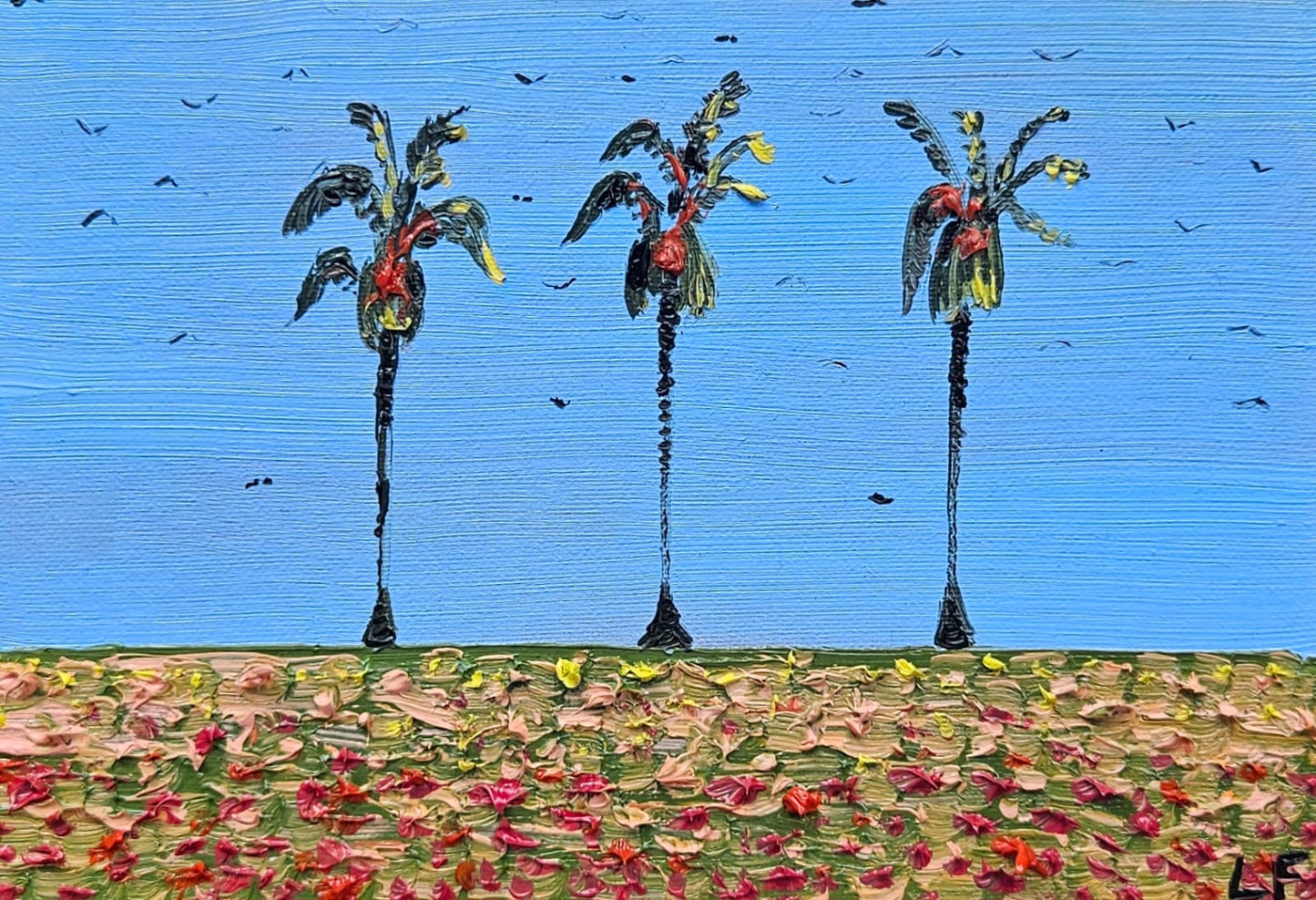 mini palms XVI