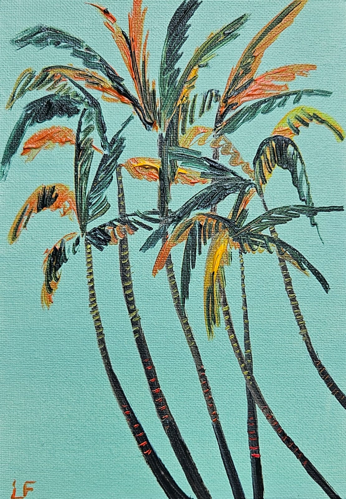 mini palms IV