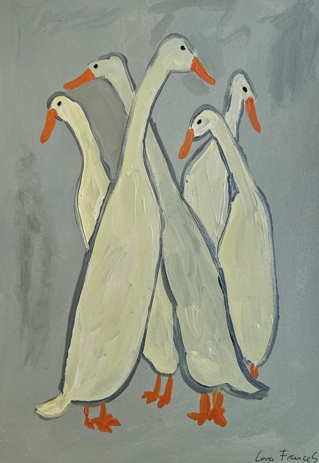 huddling ducks