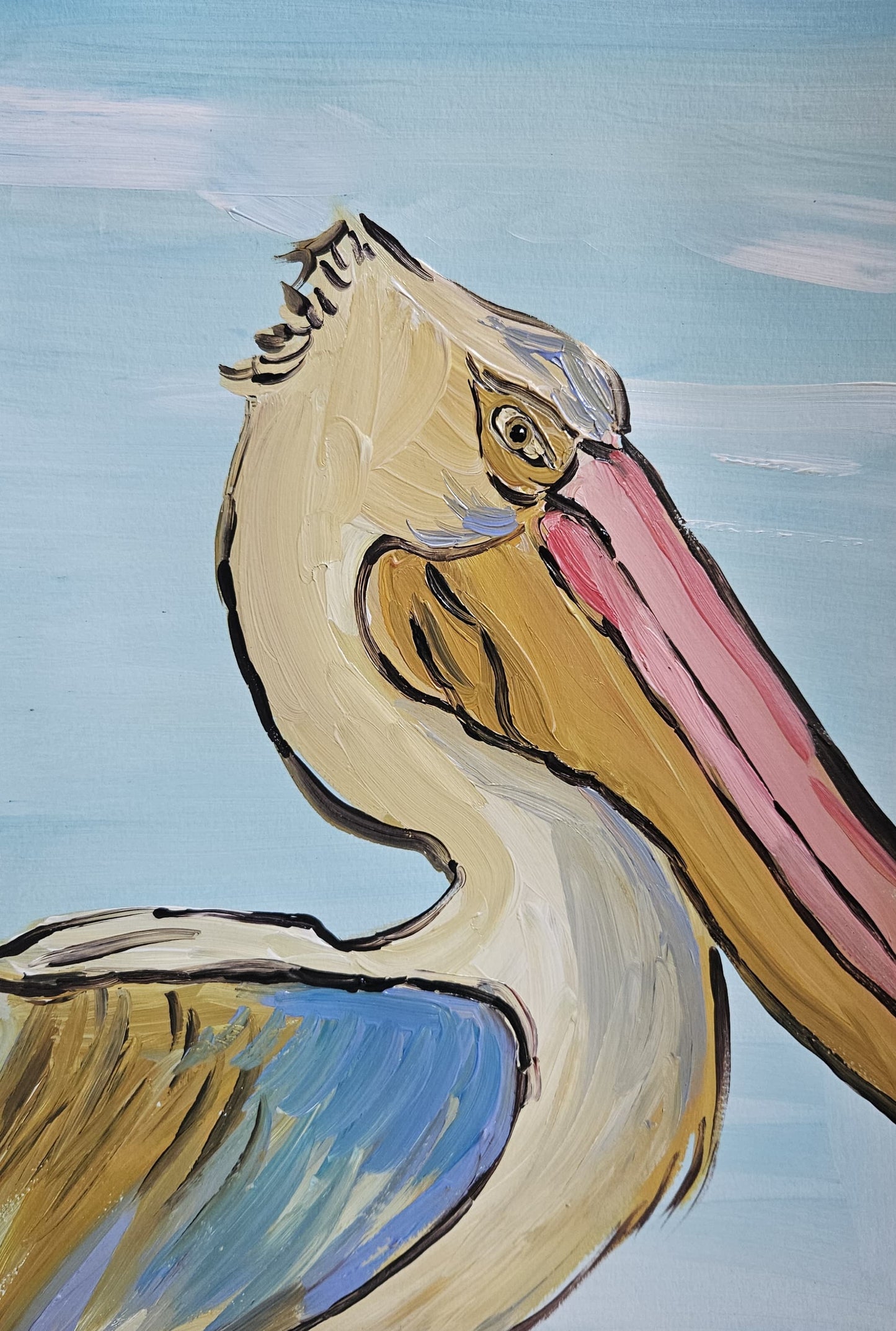 pelican study