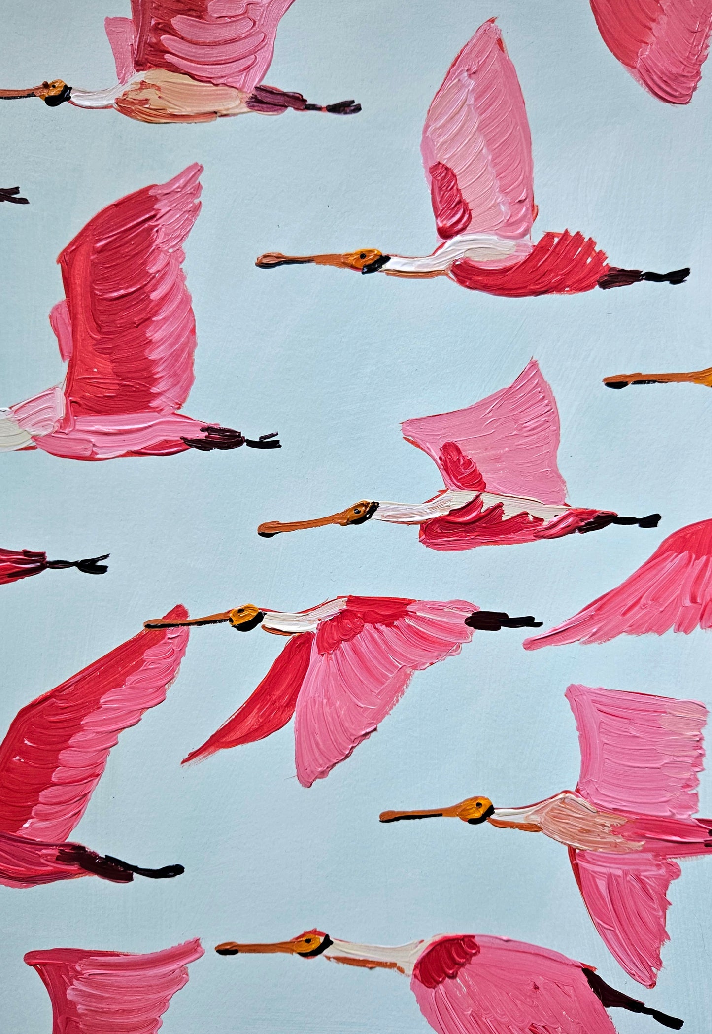 roseate spoonbills in flight