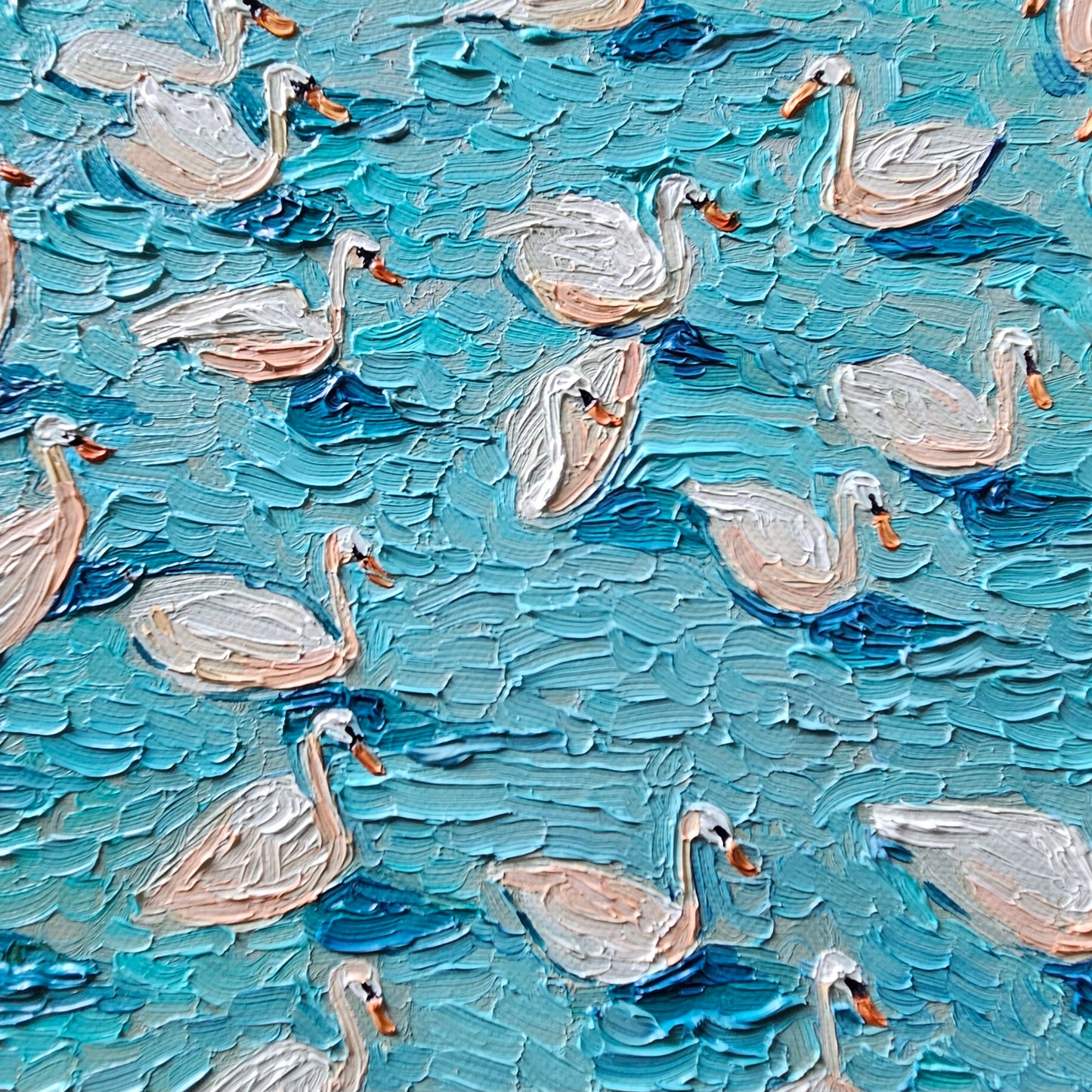 drifting swans