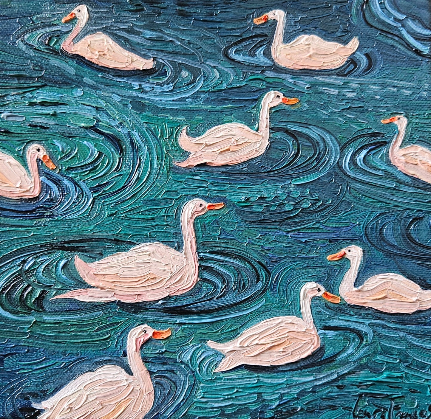 circling swans
