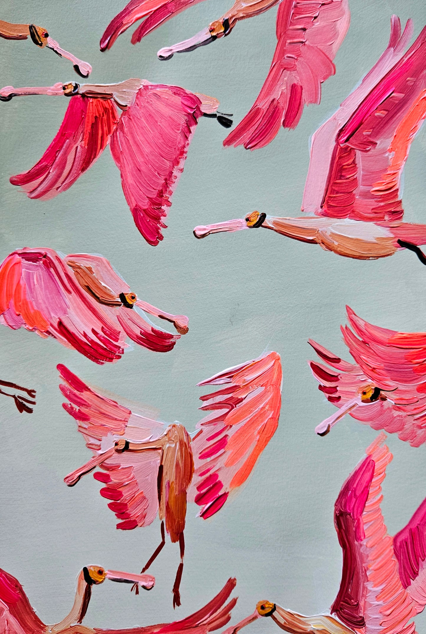 roseate spoonbills in flight III