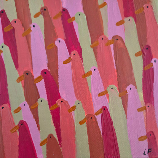 mini multi-coloured runner ducks
