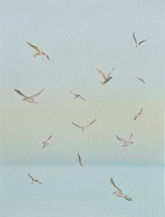 gulls at sea