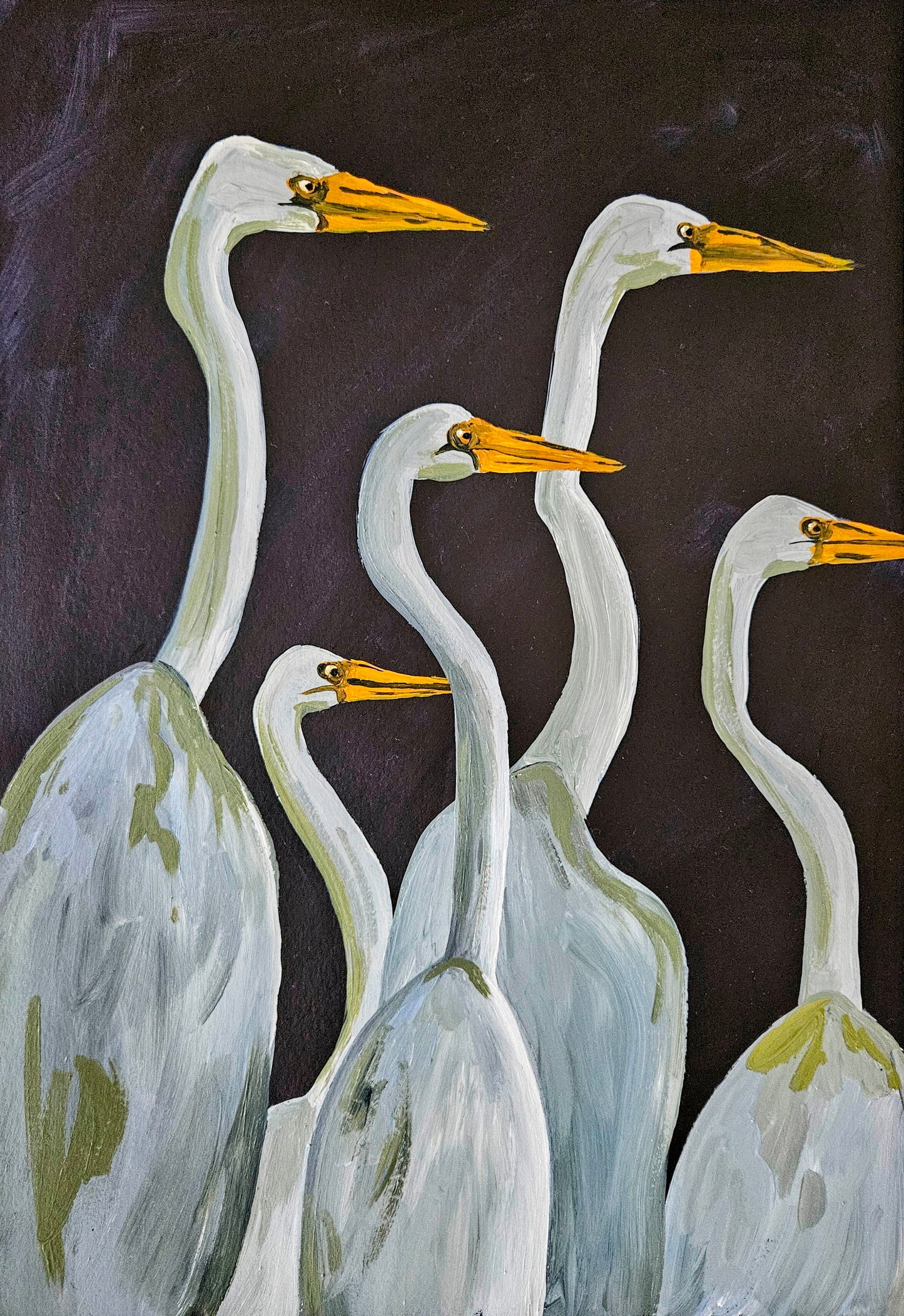 curious egrets