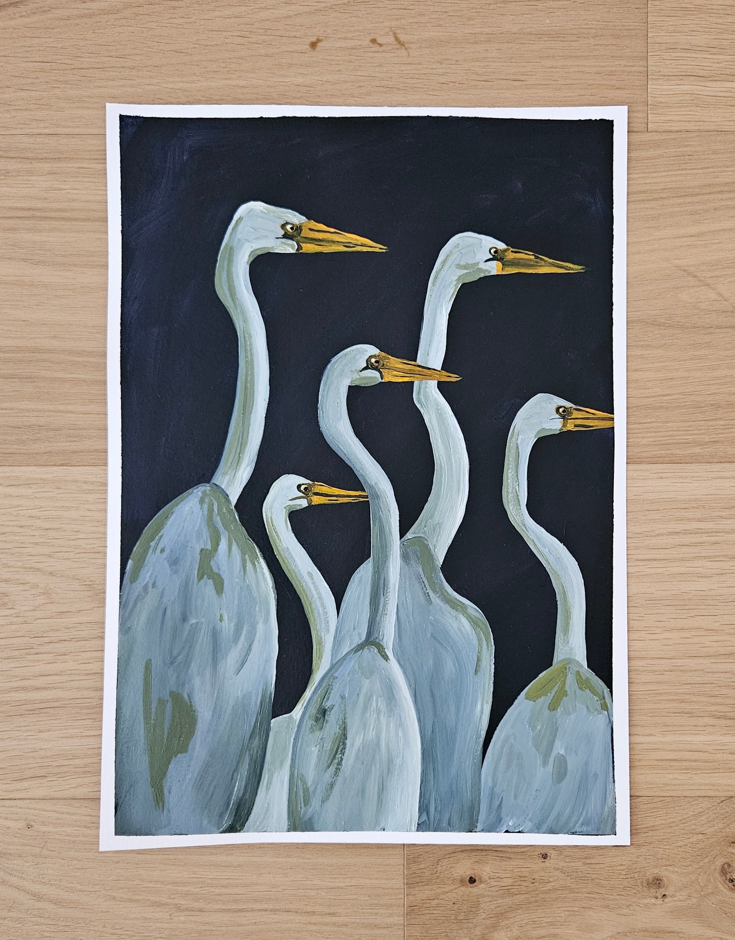 curious egrets