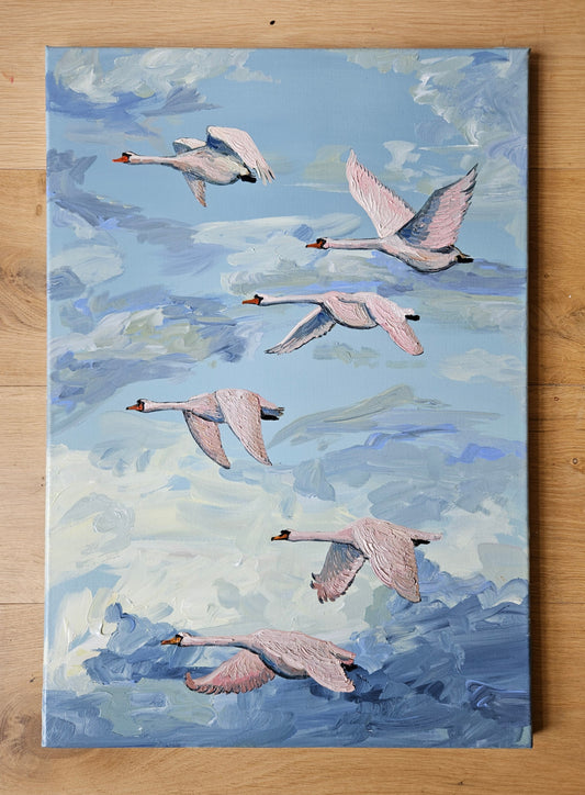 swans over clouds