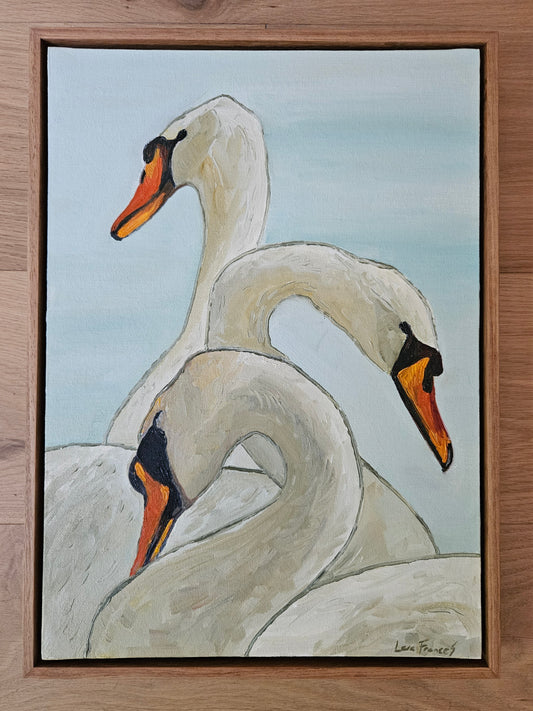 3 swans