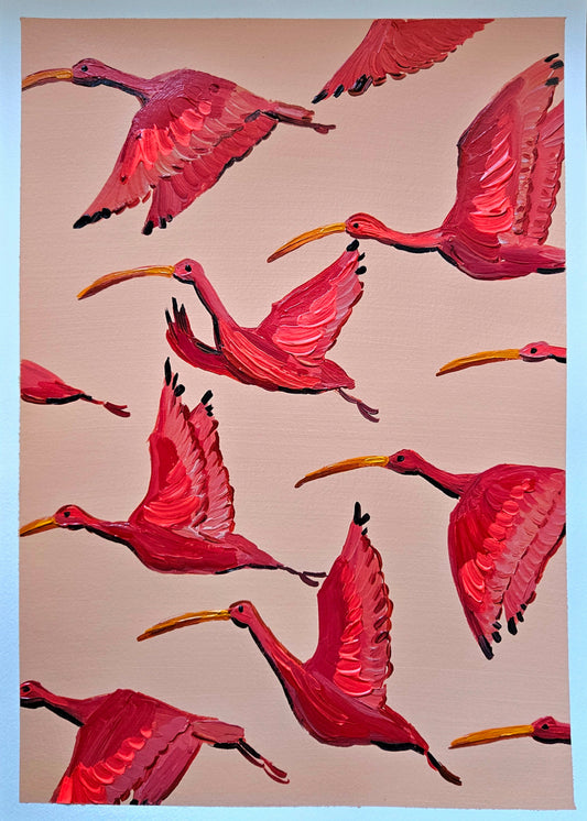 scarlet ibis in flight