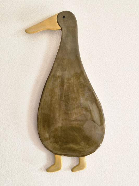 fynbos runner duck