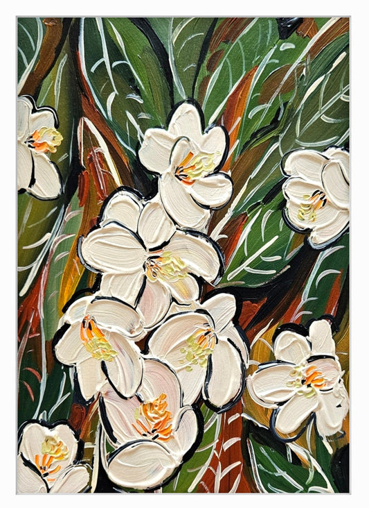 magnolia XII