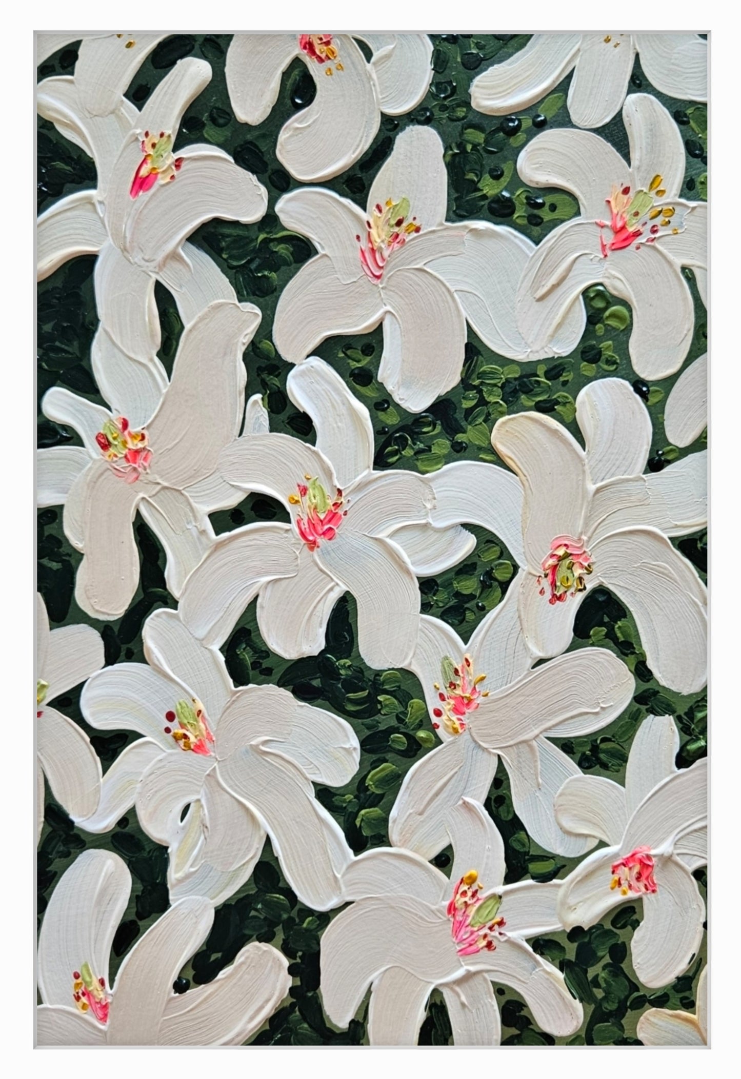 magnolia XI