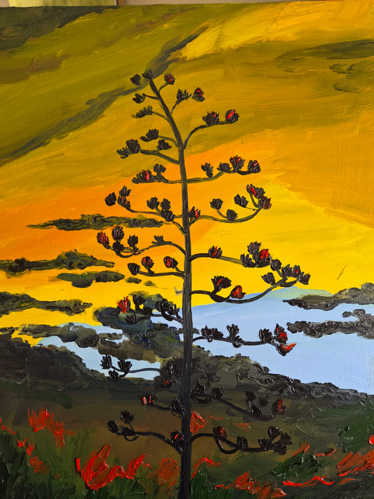 agave sunset