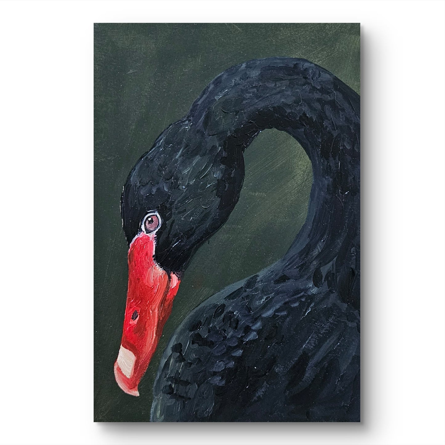 black swan