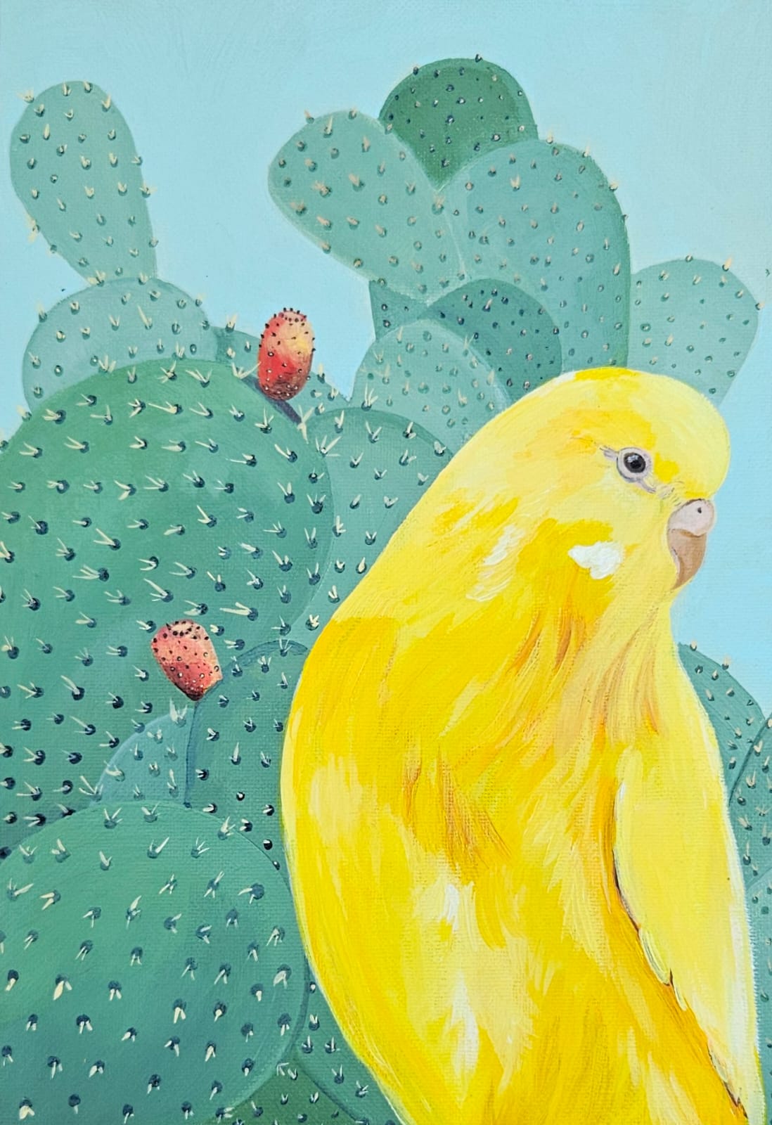 cactus parakeet