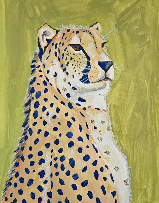 cheetah