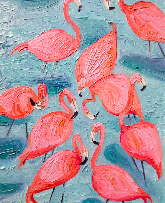 swimming flamingos