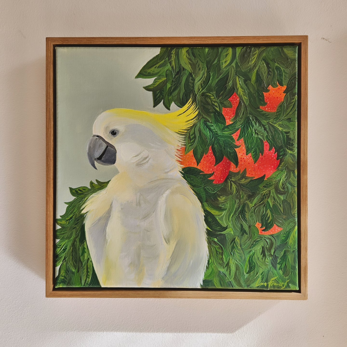 raspberry orange cockatoo (framed)