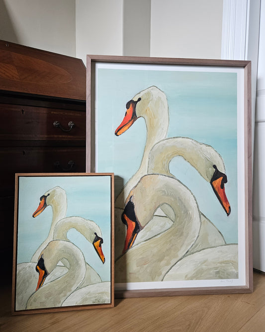 3 swans in frame (A1)