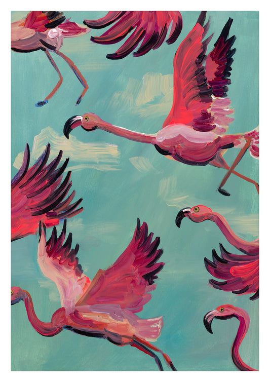 flamingos in flight