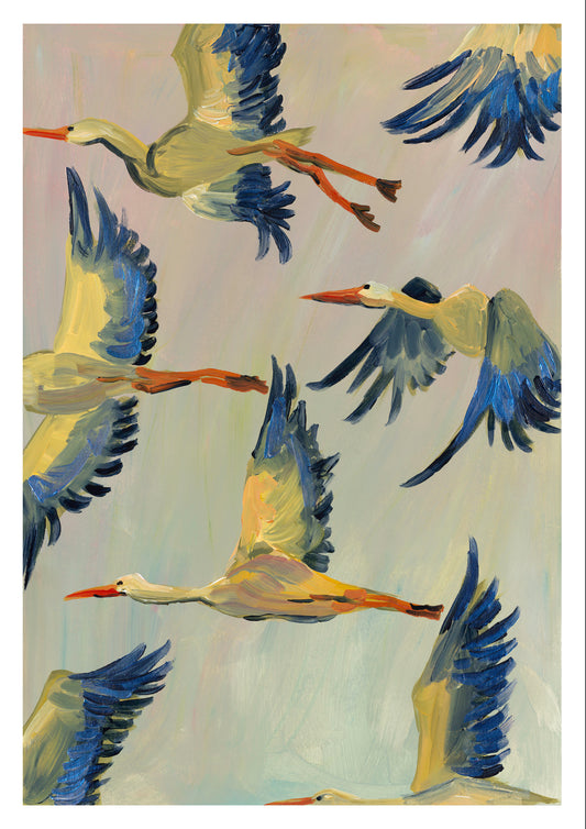 storks in flight