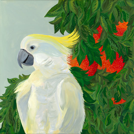 raspberry orange cockatoo