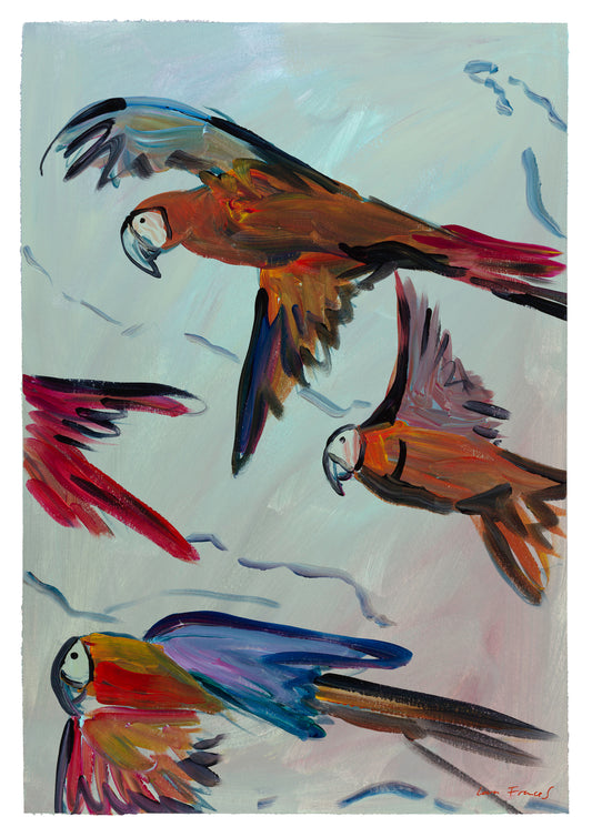 parrots in flight II