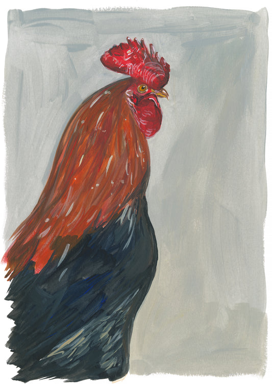 babylonstoren rooster side profile