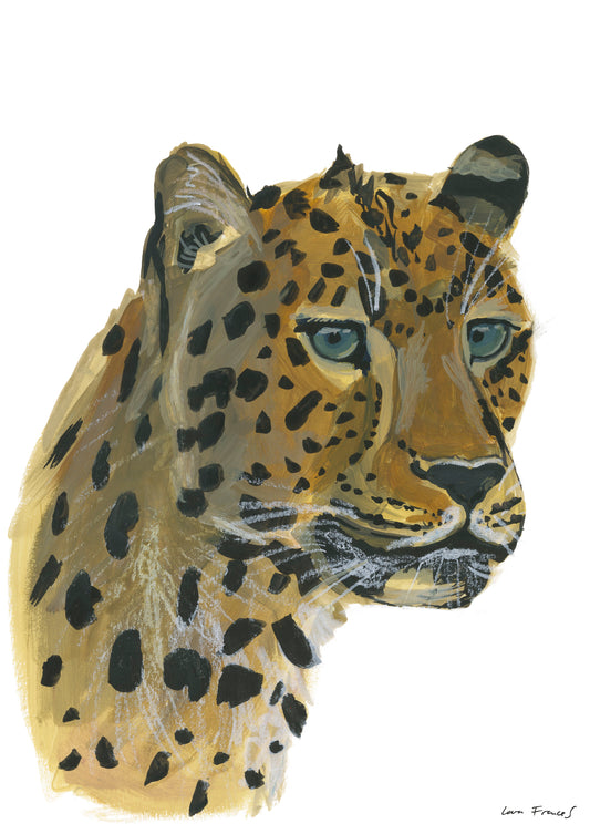 portrait of a leopard