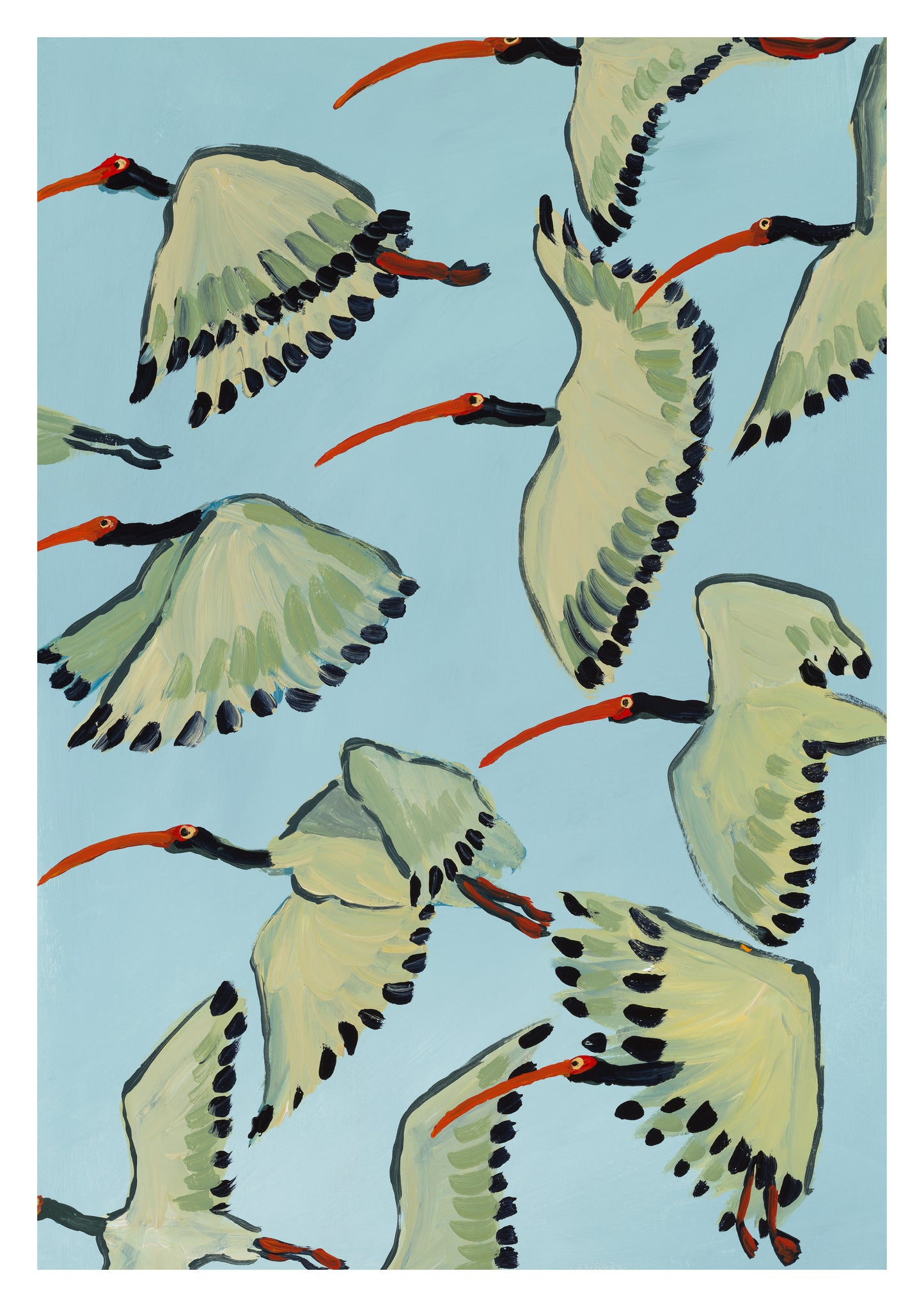 white ibis in flight