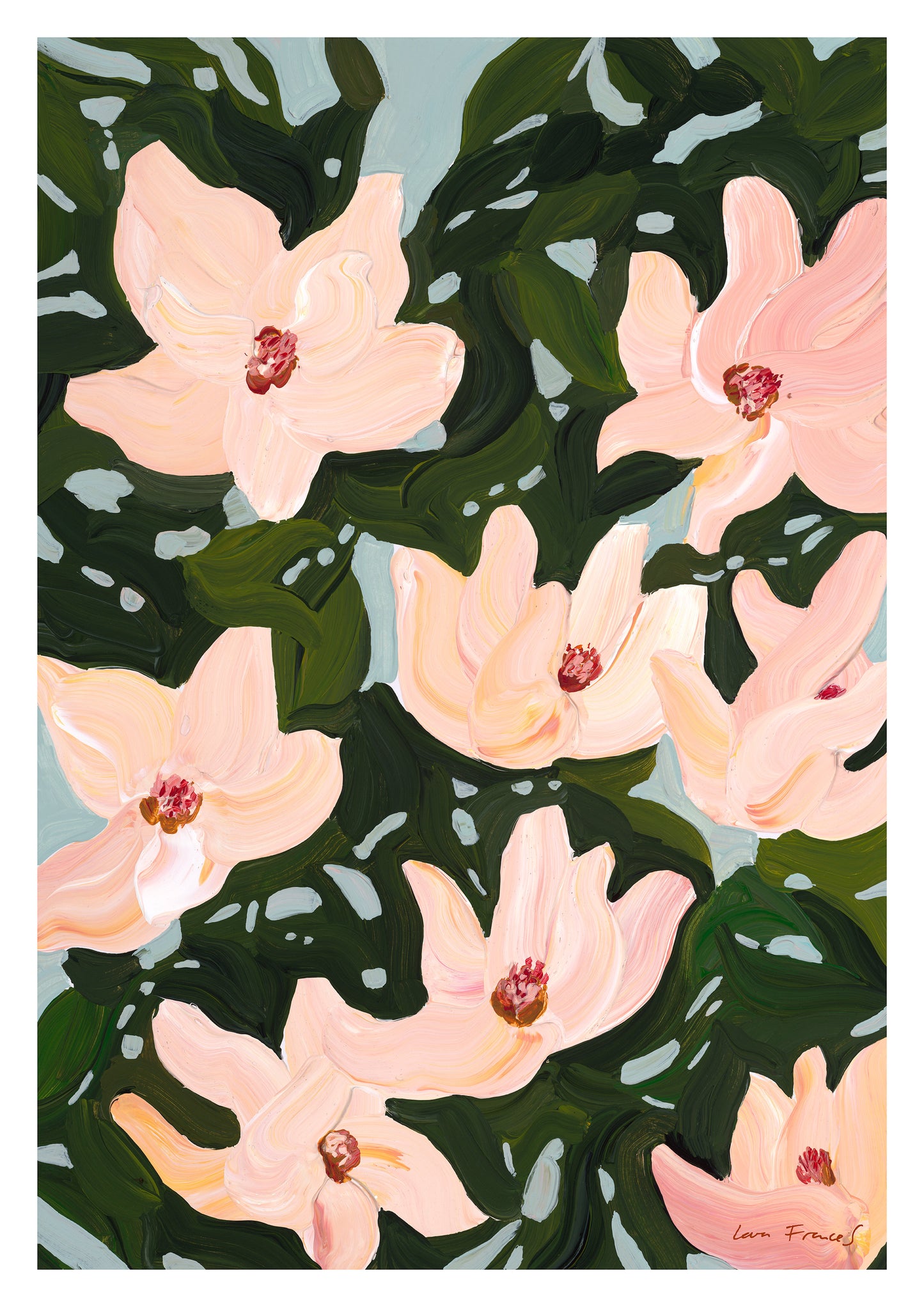 magnolia II