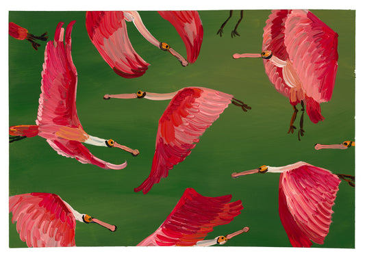 roseate spoonbills in flight