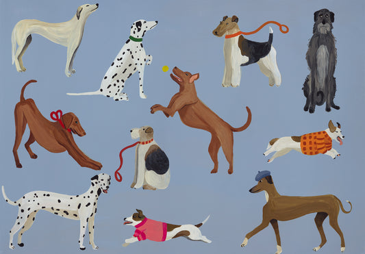 Vizsla & Co