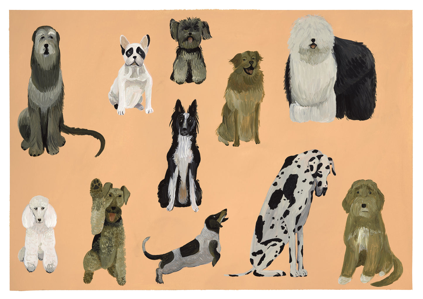 Goldendoodle & Co