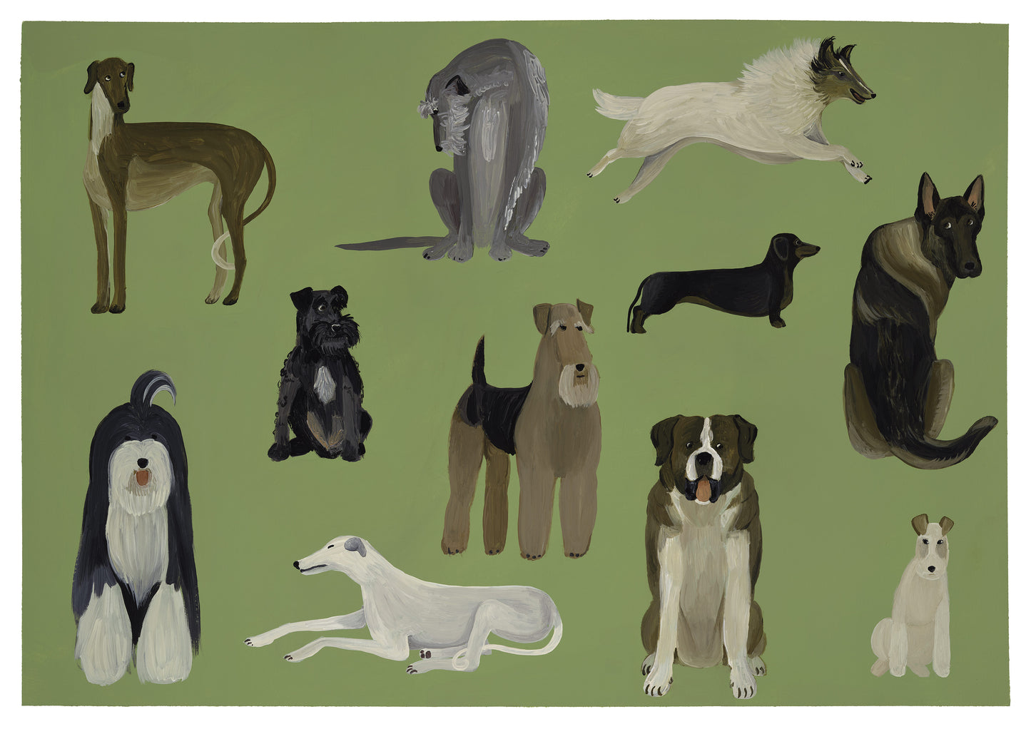 Schnauzer & Co